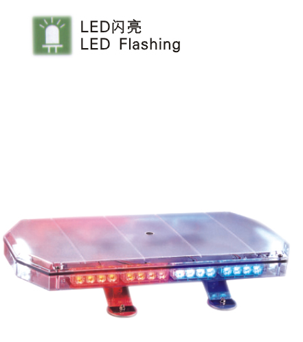 LTF-2008���ş�