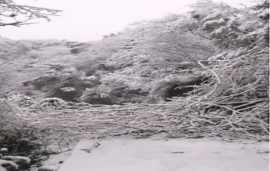 戰(zhàn)暴雪、保供電！湖南發(fā)展鳥(niǎo)兒巢公司應(yīng)對(duì)極端天氣緊急搶修失電故障
